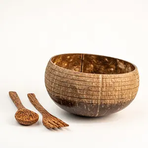 新趋势畅销环保手工天然雕刻椰子碗和勺子食品套装