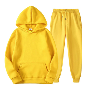 OEM Wholesale Men's Heavyweight Thicken Fleece 2-Piece Tracksuit <b>Set</b> High Quality 2 Piece Plain Hoodies with Zipper for Winter - Product Image 2