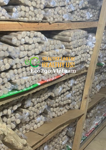 Matériau naturel vietnamien café bois chien à mâcher/chien à mâcher café bois/café naturel bois chien à mâcher bâtons prix le plus bas - Product Image 6