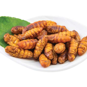 PUPAE DE GUSANO DE SEDA TOSTADO PARA LA INDUSTRIA DE ALIMENTOS SNACK | CALIDAD DE EXPORTACIÓN - Product Image 1