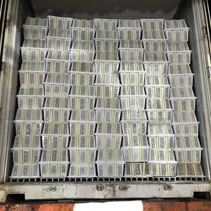 Premium Quality Vietnam Fresh Longan - <b>Sweet</b> Tropical Fruit for Export - Product Image 4