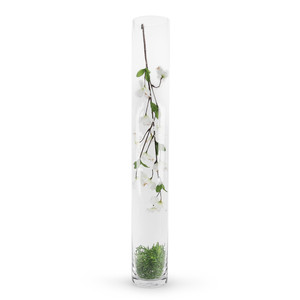 VCY0535 - Cylinder Glass <b>Vase</b> - 35 - Product Image 3