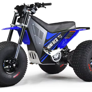 มินิ-อาร์ซีอาร์ ที3 ปี 2025 - Product Image 1