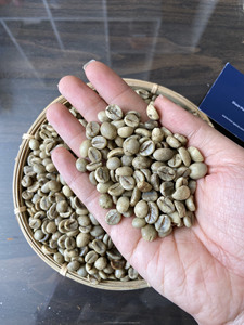 Grain de café vert robusta du Vietnam OEM/ODM emballé torréfié et coloré (contactez Mme Sam à 84 971827680) - Product Image 3