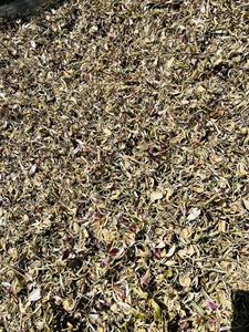 Fleur d'artichaut séchée du Vietnam de haute qualité pour les salons de thé et les menus de boissons de café, offrant un arôme naturel et un goût végétal - Product Image 5