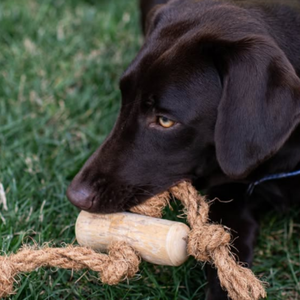 Jouet à mâcher pour chien en bois de café et corde de noix de coco pour une mastication saine - Product Image 6