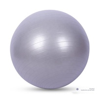Umweltfreundlicher Anti-Burst Rutschfester Glatter Balanceball für Schwangere Geburt Yoga Pilates Übungen mit Pumpe für Zuhause 17-33 Zoll