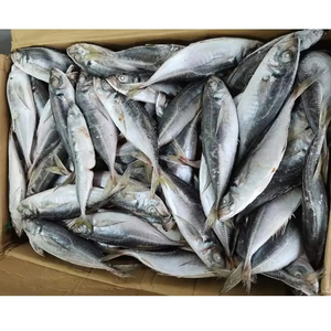 Di alta qualità congelato cavallo giallo coda sgombro pesce congelato per l'esportazione ricco di proteine ideale per frutti di mare internazionali - Product Image 4