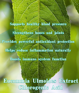 HGO Suministro directo de fábrica de Pure Natura Food Grade Eucommia Ulmoides Extracto 10% Ácido clorogénico Polvo de hierbas - Product Image 4