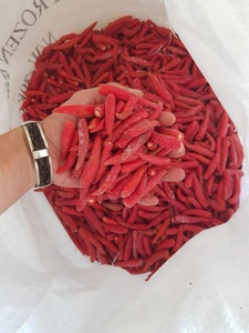 พริกเผ็ดและสดแช่แข็งจากเวียดนามข้อมูลทองคำ99รายการช่วยจัดหาพริกแดงและเขียวจำนวนมากให้กับผู้ซื้อทั่วโลก - Product Image 3