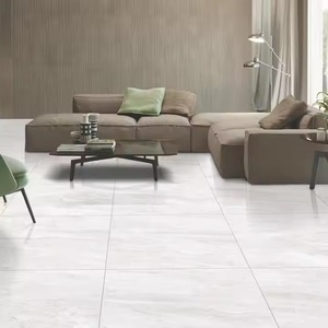 Vistaar 600x600mm Irvin Grey China Marble Bathroom Tiles Full Body Polished Glazed Porcelain Floor Tiles 60x60 GVT PGVT - Product Image 1