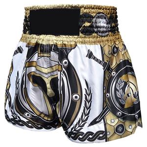 Pantalones cortos de lucha de fabricante al por mayor con logotipo personalizado pantalones cortos Muay Thai de diseño al por mayor OEM Fitness - Product Image 2