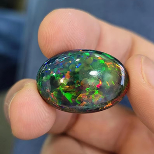 ธรรมชาติเอธิโอเปียนสีดำโอปอล cabochon. ชิ้นส่วนที่มีคุณภาพสูงสุด12.68 cts. โอปอลทรงหลังเบี้ยคุณภาพระดับโลก - Product Image 1