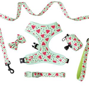 Comfort fit dog harness bundle featuring breathable mesh harness collar leash bow tie bandana and matching waste holder - Product Image 1
