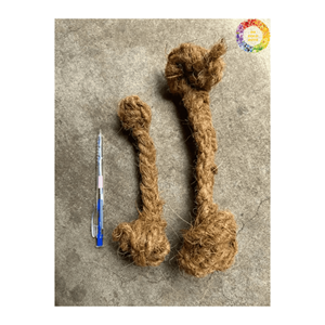 Masticar para perros de coco natural hecho en Vietnam de alta calidad | Palos duraderos y accesorios para mascotas | Suministros ecológicos para mascotas. - Product Image 1