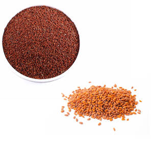 Berro | Textura suave y sabor audaz | Utilizado en alimentos saludables - Product Image 5