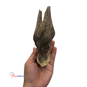 แท่งธูปหอมทำจากไม้ก่าวู้ดธรรมชาติแบบ100% ออร์แกนิกรูปทรงจักรวาลไม้หอมมีกลิ่นหอม - Product Image 2