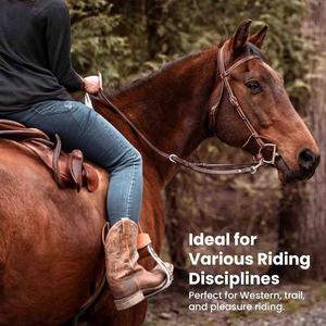 Brida y cabestro ajustable de cuero Premium con hebilla de acero inoxidable Bridas de cuero de caballo Premium - Product Image 6