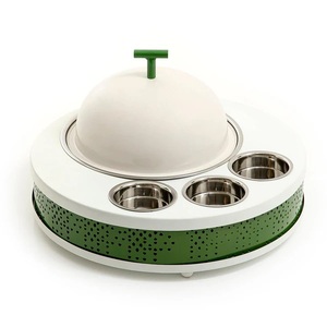 Plat de service en fer et en acier de style unique avec gravures complexes, parfait pour exposer les aliments pendant les saisons de fête ou les fêtes - Product Image 1