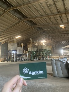 Granos de café verde Robusta de Vietnam y granos de café verde Arábica Grano de grado profesional Mejor sabor Cultivo más nuevo WS + 84359166896 - Product Image 5