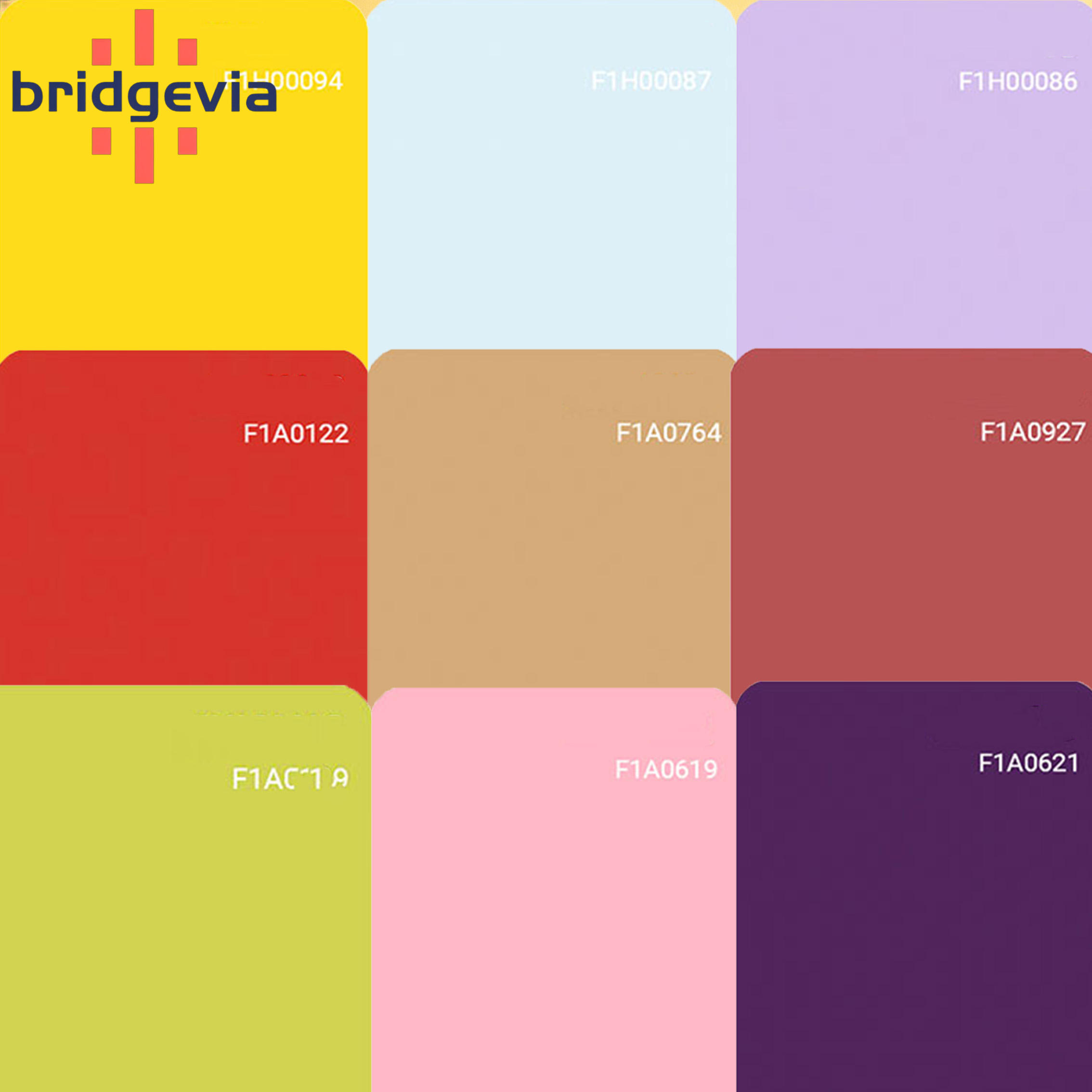 ชุดสีพื้น