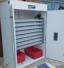 Nouvel incubateur à œufs mini entièrement automatique, capacité 50 œufs, double alimentation, design élégant, en vente - Product Image 4