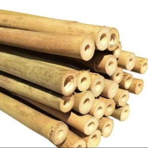 Postes de bambú rectos de alta calidad hechos en Vietnam venta al por mayor 100% estacas de bambú duraderas naturales para soporte de plantas de construcción - Product Image 1