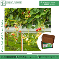 Bas EC inférieur à 0.5 100% noix de coco naturelle tourbe de coco 650 grammes briques pour Green House