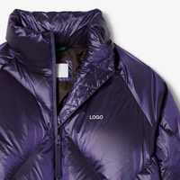 Damen Casual Warme Winterjacke Übergroße Gesteppte Daunenjacke mit Kapuze Glänzender Taft Gefüllte Puffärmel Wasserabweisend Kurz
