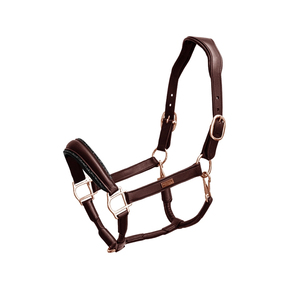Meilleure qualité de luxe cuir marron cheval licou professionnel australien selle anglais accessoires en cuir au prix de gros - Product Image 1