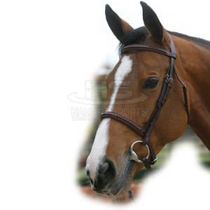 Nouvelle arrivée de bride rembourrée en cuir de bonne qualité avec bride de cheval cousue de fabricant de conception - Product Image 6