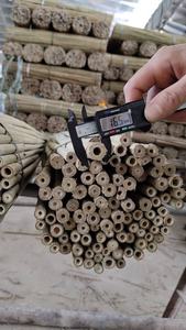 Canes en bambou de petit diamètre de haute qualité pour le soutien des fleurs, piquets de jardinage pour pépinière, vente en gros - Product Image 6