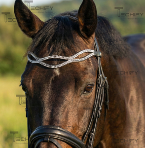 Diadema Premium Curva de Cristal para Caballos, Cuero Negro, Doble Hilera de Diamantes de Imitación, Cómoda, Duradera, Color Personalizable, Arnés - Product Image 5