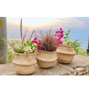 Cesta para barriga de algas marinas hecha a mano de alta calidad, artesanía de almacenamiento de tamaño personalizado multiusos directamente del fabricante vietnamita - Product Image 4