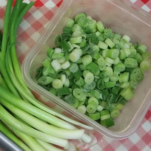 CEBOLLA VERDE NATURAL/AYUDA DIGESTIVA/ETIQUETA LIMPIA/DERIVADO DE PLANTAS - Product Image 1