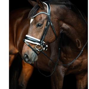 Brida snaffle - Product Image 2
