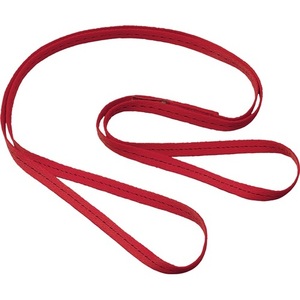 Anchor <b>Lanyard</b> B2 EN354 EN795 Class B PPE Category III <b>Polyester</b> Approx. 2m Length MAS - Product Image 1