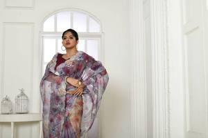 Pure Organza Silk Saree Indian Cutwork Border Entièrement Handwork Pour Chemisier Et Robe à Chap Rate - Product Image 2