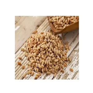 Farinha de cevada para alimentação animal, grãos orgânicos naturais de primeira qualidade, saco de 50 kg para embalagem, sementes de cevada e cereais