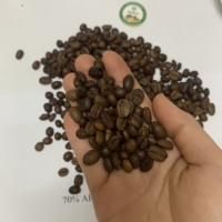 Échantillon Gratuit de Café Instantané Vietnamien Lyophilisé, Extraits de Robusta et Arabica, Sac Multi-couches, Prix Bas, Import-Export