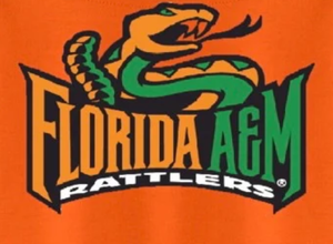 Florida A & M University Vintage lana seda bordado Lettermen chaqueta Famu Varsity chaqueta botón decoración para hombres invierno - Product Image 3