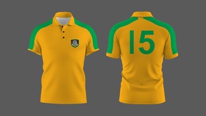 เสื้อรักบี้ทีมชาติแอฟริกาใต้ รุ่นซีเว่นส์ ปี 2025 แบบเย็บปักลาย QLD ผลิตจากโพลีเอสเตอร์ 100% ป้องกันแบคทีเรีย สำหรับผู้ชาย - Product Image 4