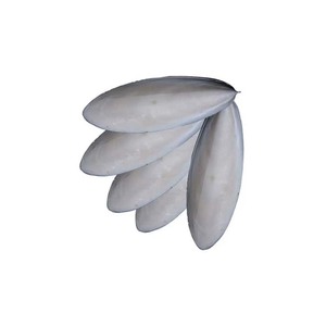 กระดูกปลาหมึกที่ปลอดภัยและเป็นธรรมชาติสำหรับนกสัตว์เลี้ยง - Product Image 2