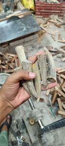 Eco-Friendly Natural Buffalo <b>Cow</b> Horn Tip Raw Pieces for DIY Craft Carving Knife Handles Jewelry Making Traditional Handicraft - Product Image 6