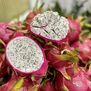 มังกรผลไม้สดคุณภาพสูง/ราคาดีจากเวียดนามรสชาติเต็มอร่อย มังกรผลไม้สดธรรมชาติจากผู้จัดจําหน่ายเวียดนาม - Product Image 3