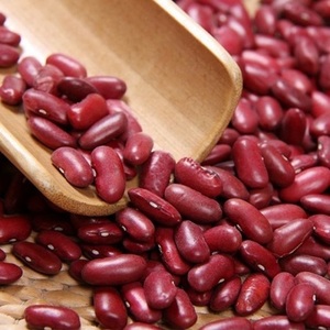Hot Discounts Bulk 25kg Dried Dark Red Kidney Bean Long Shelf Life London - Product Image 3