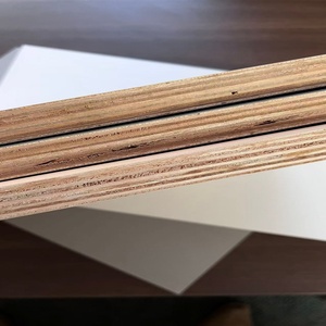 Водонепроницаемая фанера из березового шпона E0, современная, 12 мм, 15 мм, 18 мм, 11-слойная, полированная, белая отделка, высший сорт - Product Image 4