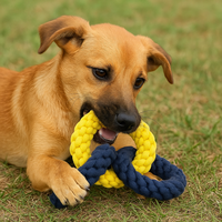 Jouet durable et sûr pour chien Aero Tug Flying Disc avec cordes de style dessin animé Chew Play | Divine International