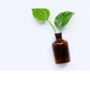 Aceite esencial de hoja de Betel natural puro 100% al mejor precio - Product Image 1