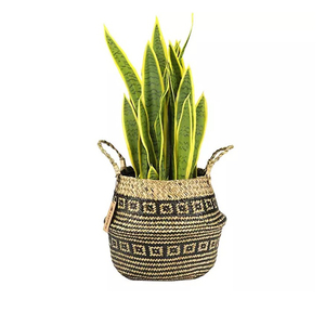 Cestas de Almacenamiento de Mimbre Tejidas a Mano Personalizadas al por Mayor, Macetas y Jardineras Económicas para Baño a Precio Razonable - Product Image 4